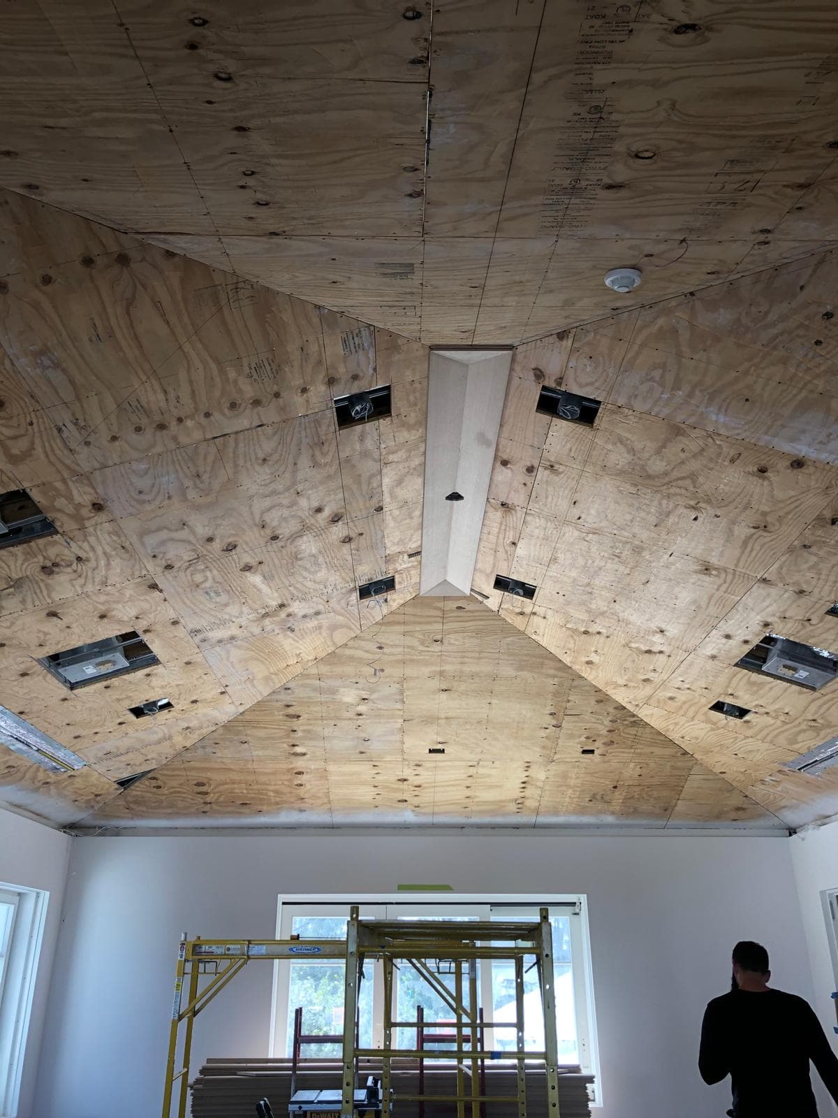 Luxury Renovation
